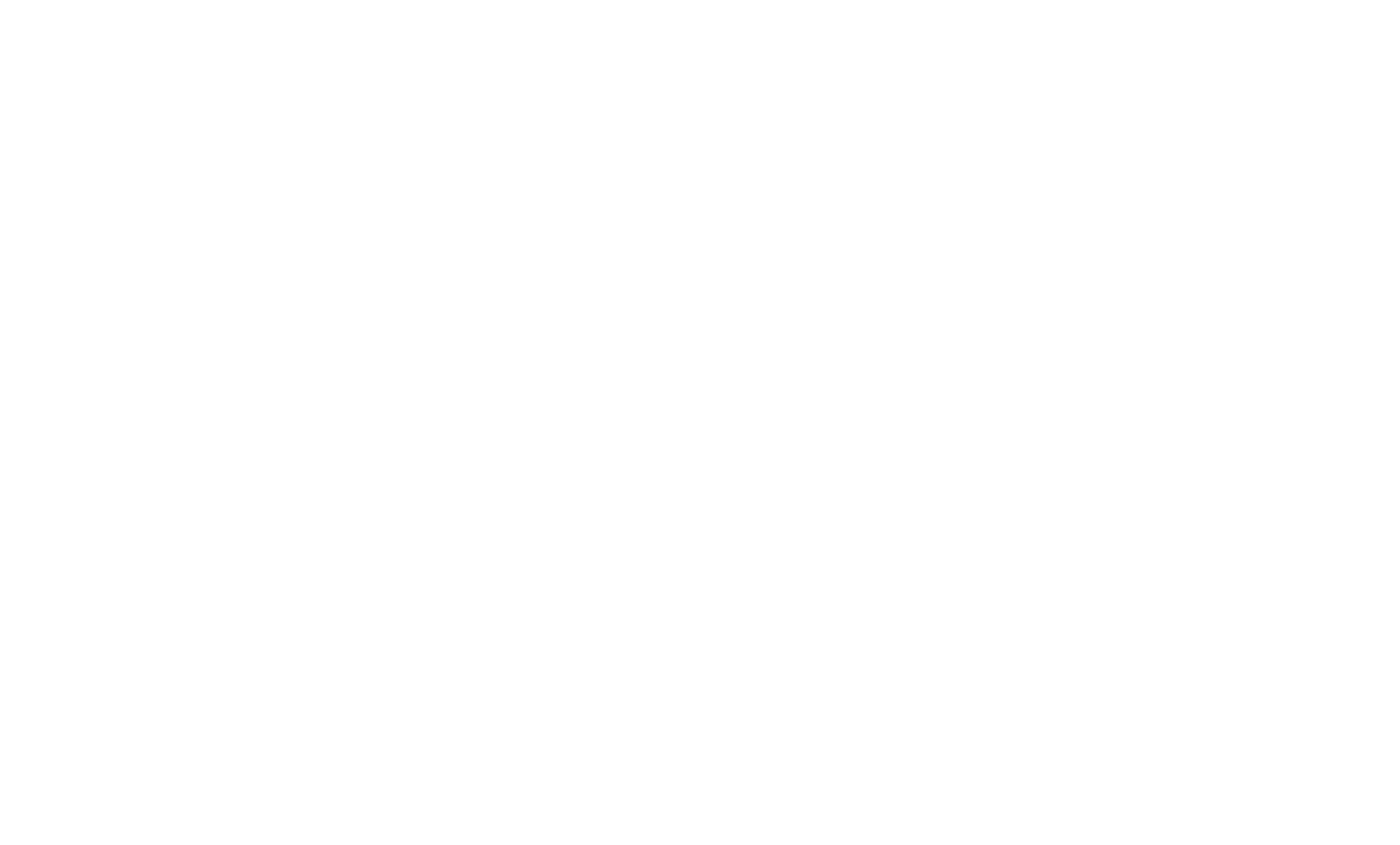 Main Logo White